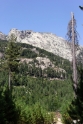 Aiton forest, Corsica France 2
